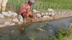 Terindikasi Korupsi, Proyek Siluman di Ds. Talunjaya Diduga Dikerjakan Asal-asalan