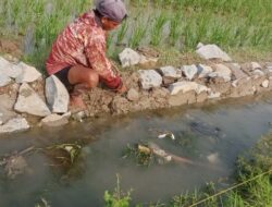 Terindikasi Korupsi, Proyek Siluman di Ds. Talunjaya Diduga Dikerjakan Asal-asalan