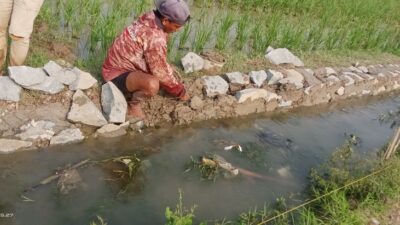 Terindikasi Korupsi, Proyek Siluman di Ds. Talunjaya Diduga Dikerjakan Asal-asalan